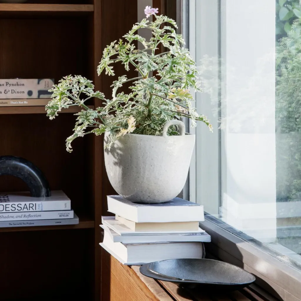 Vasen^Ferm Living Speckle Blumentopf