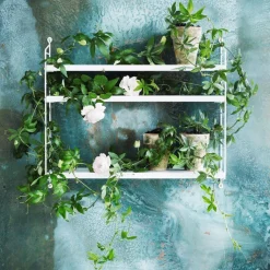 Regale|Gewürzregale^String Pocket Regal 60x50x15cm