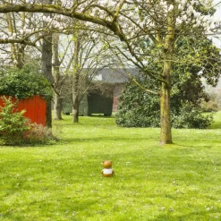 Kartell Toy Tischleuchte| Tischleuchten