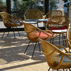 Jan Kurtz Yara Rattan Armlehnstuhl| Stühle